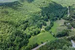 563 Burgess Rd, Mill Spring, NC 28756 - Photo 40