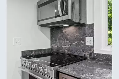563 Burgess Road, Mill Spring, NC 28756 - Photo 14