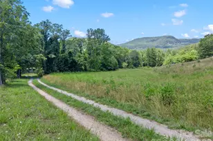 563 Burgess Rd, Mill Spring, NC 28756 - Photo 34