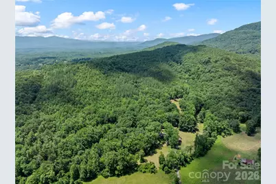 563 Burgess Road, Mill Spring, NC 28756 - Photo 38