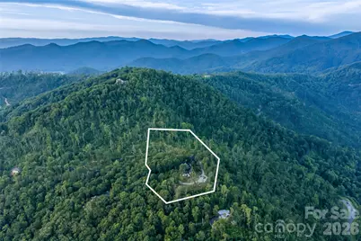145 Kalmia Drive, Asheville, NC 28804 - Photo 38