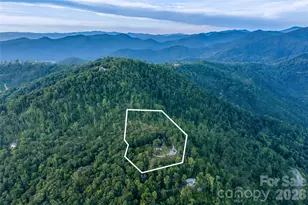 145 Kalmia Dr, Asheville, NC 28804 - Photo 38
