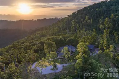 145 Kalmia Drive, Asheville, NC 28804 - Photo 38