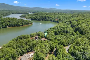 1313 High Trail Dr, Nebo, NC 28761 - Photo 46