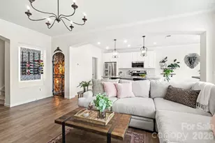 5023 American Bittern Ln, Charlotte, NC 28214 - Photo 4