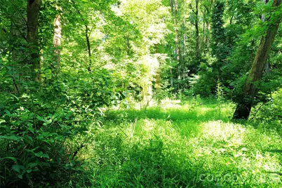 00 River Road, Columbus, NC 28782 - Photo 14