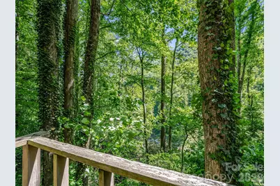 247 Legacy Layne Drive, Hendersonville, NC 28792 - Photo 20
