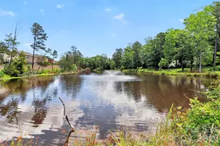 9134 Ramsford Ct, Charlotte, NC 28227 - Photo 22