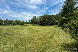 54 Old Lime Kiln Rd, Arden, NC 28704 - Photo 28
