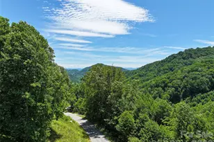 2426 Wesley Creek Rd, Clyde, NC 28721 - Photo 4