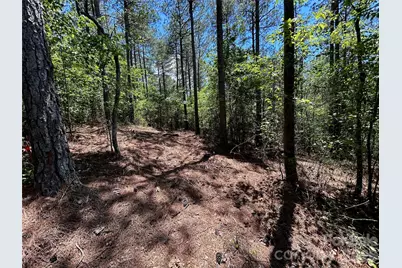 1175 Hidden Cove Lane, Connelly Springs, NC 28612 - Photo 8