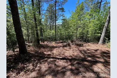1175 Hidden Cove Lane, Connelly Springs, NC 28612 - Photo 2