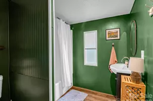 14 Penelope St, Black Mountain, NC 28711 - Photo 48