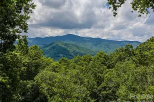 233 Rocky Face Dr, Canton, NC 28716 - Photo 46