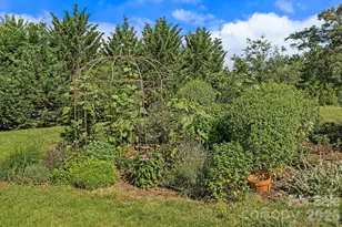 72 Ed De Bruhl Rd, Alexander, NC 28701 - Photo 24