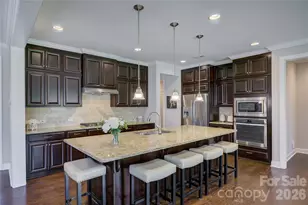 15417 Cimarron Hills Ln, Charlotte, NC 28278 - Photo 14
