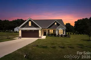 48 Tanseyleaf Dr, Smithfield, NC 27577 - Photo 1