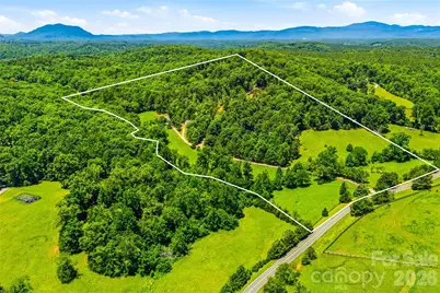 3012 Polk County Line Road, Rutherfordton, NC 28139 - Photo 48