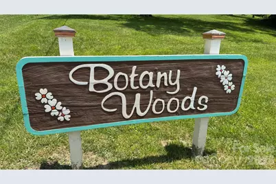 10 Botany View Court, Asheville, NC 28805 - Photo 46