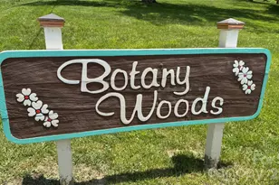10 Botany View Ct, Asheville, NC 28805 - Photo 46