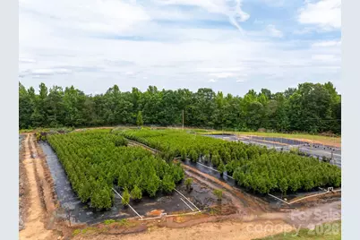 1350 Lee Cudd Road, Rutherfordton, NC 28139 - Photo 4