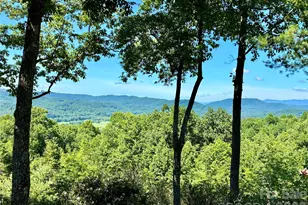 48 S Mountain Morning Ln, Hendersonville, NC 28739 - Photo 4