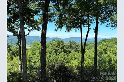 48 S Mountain Morning Lane, Hendersonville, NC 28739 - Photo 6