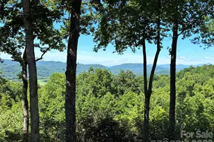 48 S Mountain Morning Ln, Hendersonville, NC 28739 - Photo 6