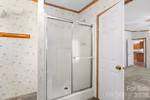 133 Spivey Mountain Rd, Asheville, NC 28806 - Photo 30