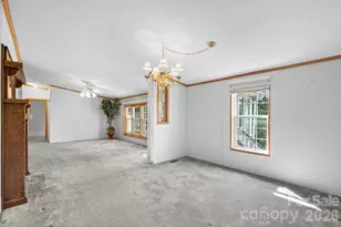 133 Spivey Mountain Rd, Asheville, NC 28806 - Photo 12