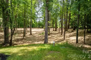 3528 Waterview Trail, Lincolnton, NC 28092 - Photo 42