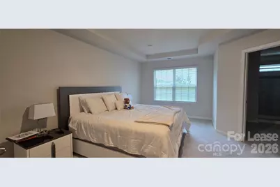 8011 Scarlet Maple Lane, Fort Mill, SC 29708 - Photo 6