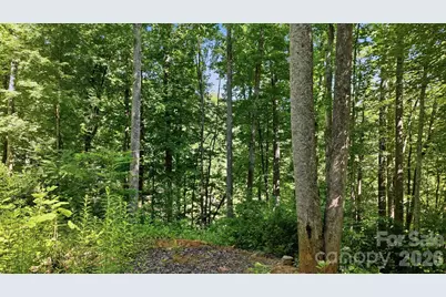 618 Dark Ridge Road, Sylva, NC 28779 - Photo 16