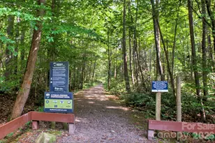 1943 Buffalo Creek Rd, Lake Lure, NC 28746 - Photo 40