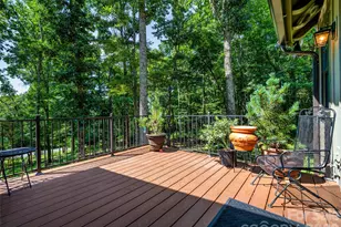 442 Autumn Sky Dr, Hendersonville, NC 28792 - Photo 24