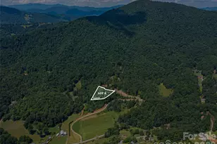 000 Locust Rough Mountain Rd, Burnsville, NC 28714 - Photo 1