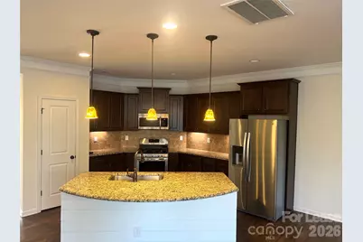 13259 Savannah Point Drive, Charlotte, NC 28273 - Photo 2