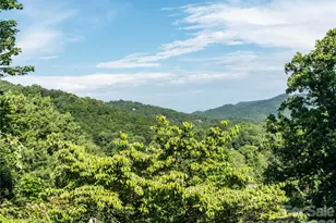 45 Mountain View Ave, Black Mountain, NC 28711 - Photo 2