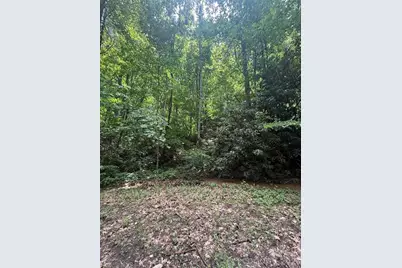 000 Summit Road #343, Tryon, NC 28782 - Photo 6