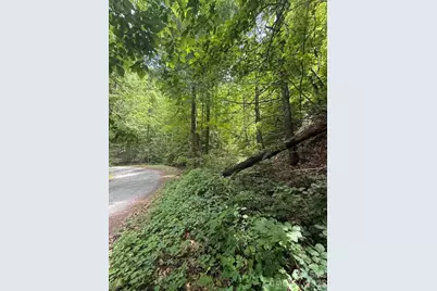 000 Summit Road #343, Tryon, NC 28782 - Photo 8
