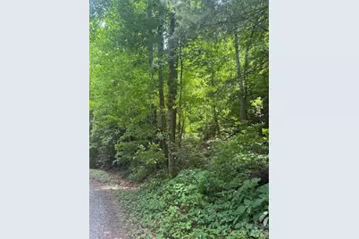 000 Summit Road #343, Tryon, NC 28782 - Photo 4