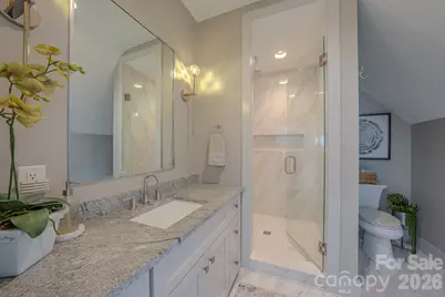 73 Angelina Lane, Mills River, NC 28759 - Photo 30