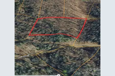 000 Hawks Nest Drive, Burnsville, NC 28714 - Photo 2