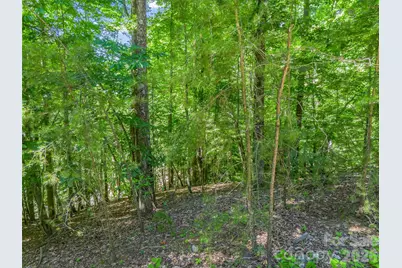 0 Hawks Nest Trail #31, Lake Lure, NC 28746 - Photo 4
