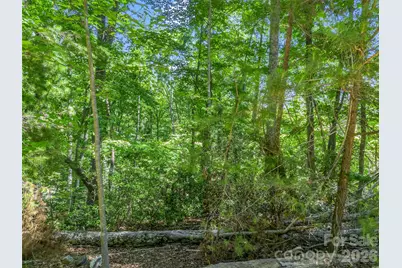 0 Hawks Nest Trail #31, Lake Lure, NC 28746 - Photo 6