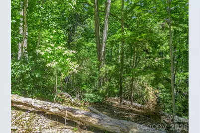 0 Hawks Nest Trail #31, Lake Lure, NC 28746 - Photo 8