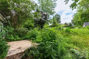5 Carter View, Arden, NC 28704 - Photo 22
