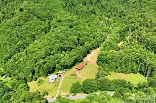 1005 Smith Creek Rd, Mars Hill, NC 28754 - Photo 14