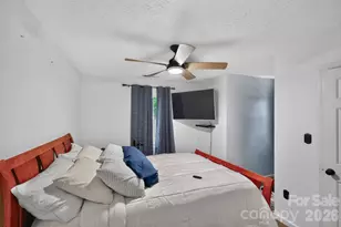163 Canaan Dr, Candler, NC 28715 - Photo 8