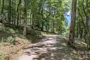 35 Coweeta Ridge Rd, Otto, NC 28763 - Photo 34